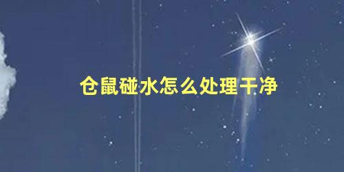 仓鼠碰水怎么处理干净