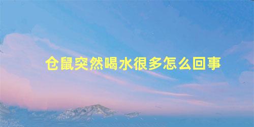 仓鼠突然喝水很多怎么回事