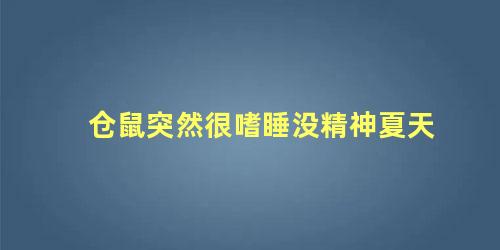 仓鼠突然很嗜睡没精神夏天