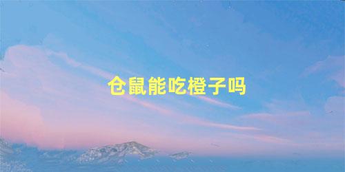 仓鼠能吃橙子吗