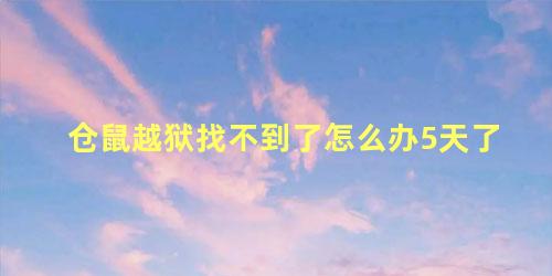 仓鼠越狱找不到了怎么办5天了