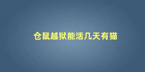 仓鼠越狱能活几天有猫
