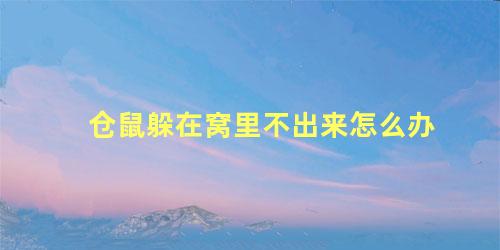 仓鼠躲在窝里不出来怎么办