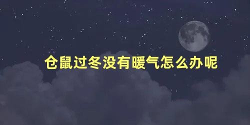 仓鼠过冬没有暖气怎么办呢