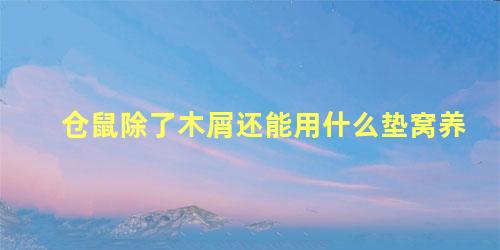 仓鼠除了木屑还能用什么垫窝养