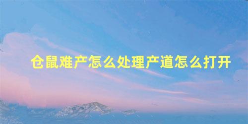 仓鼠难产怎么处理产道怎么打开