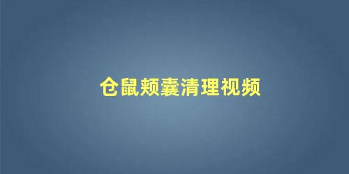 仓鼠颊囊清理视频