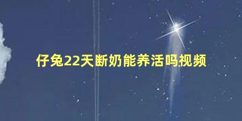 仔兔22天断奶能养活吗视频