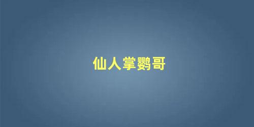 仙人掌鹦哥