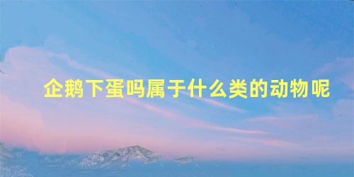 企鹅下蛋吗属于什么类的动物呢