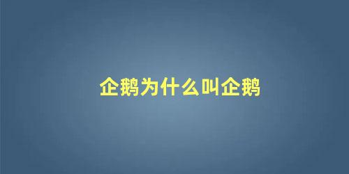 企鹅为什么叫企鹅