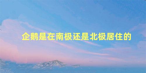 企鹅是在南极还是北极居住的