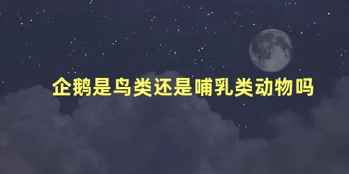 企鹅是鸟类还是哺乳类动物吗