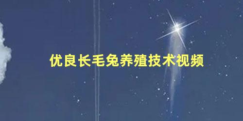 优良长毛兔养殖技术视频