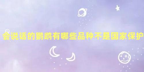 会说话的鹦鹉有哪些品种不是国家保护动物