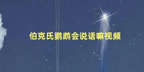 伯克氏鹦鹉会说话嘛视频