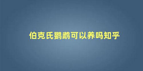 伯克氏鹦鹉可以养吗知乎