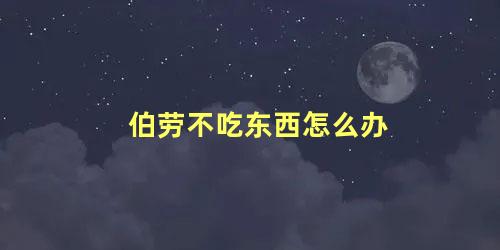 伯劳不吃东西怎么办