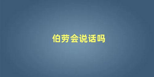 伯劳会说话吗
