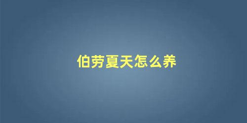 伯劳夏天怎么养