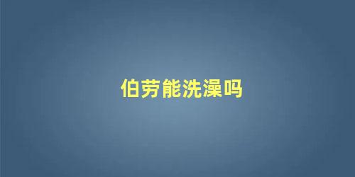 伯劳能洗澡吗