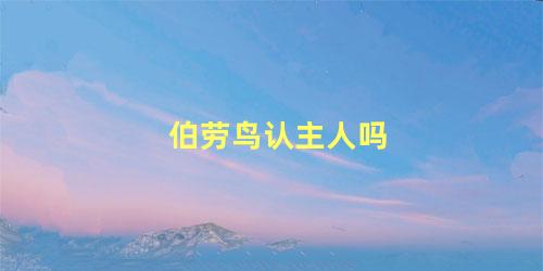 伯劳鸟认主人吗