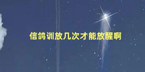 信鸽训放几次才能放醒啊