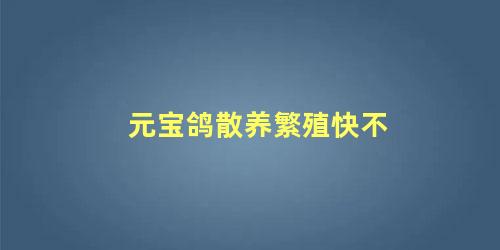 元宝鸽散养繁殖快不