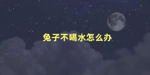 兔子不喝水怎么办