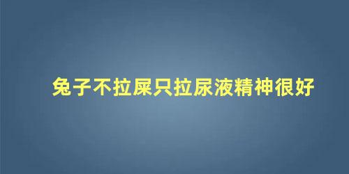 兔子不拉屎只拉尿液精神很好