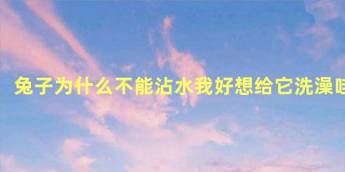 兔子为什么不能沾水我好想给它洗澡哇