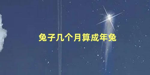 兔子几个月算成年兔