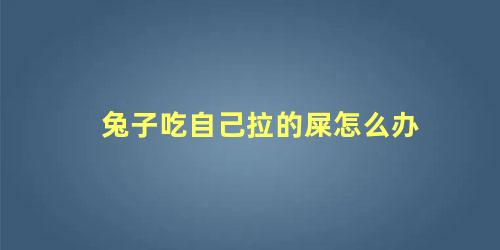 兔子吃自己拉的屎怎么办