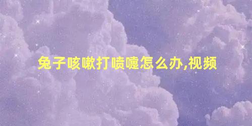 兔子咳嗽打喷嚏怎么办,视频