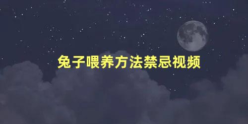 兔子喂养方法禁忌视频