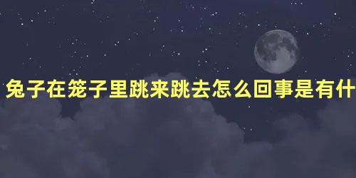 兔子在笼子里跳来跳去怎么回事是有什么异常吗