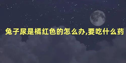 兔子尿是橘红色的怎么办,要吃什么药