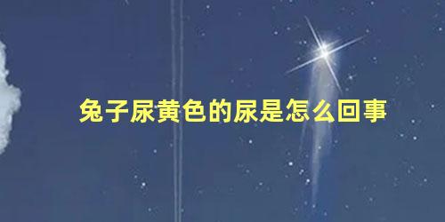 兔子尿黄色的尿是怎么回事