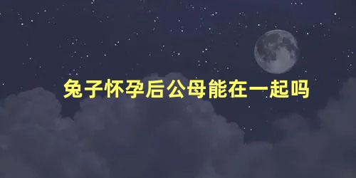 兔子怀孕后公母能在一起吗