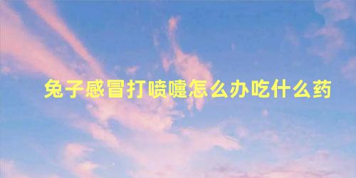 兔子感冒打喷嚏怎么办吃什么药