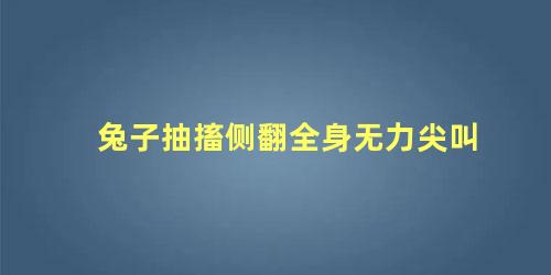 兔子抽搐侧翻全身无力尖叫