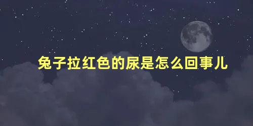 兔子拉红色的尿是怎么回事儿