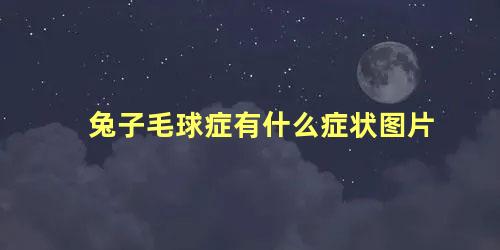 兔子毛球症有什么症状图片