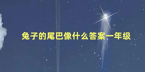 兔子的尾巴像什么答案一年级