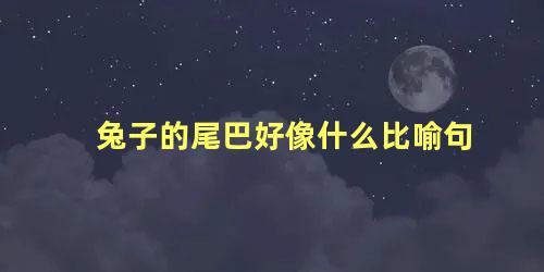 兔子的尾巴好像什么比喻句