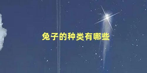 兔子的种类有哪些