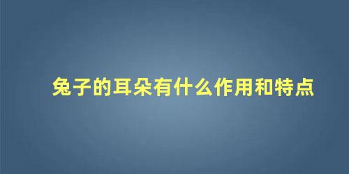 兔子的耳朵有什么作用和特点