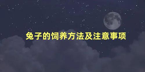 兔子的饲养方法及注意事项