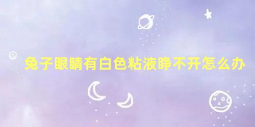 兔子眼睛有白色粘液睁不开怎么办