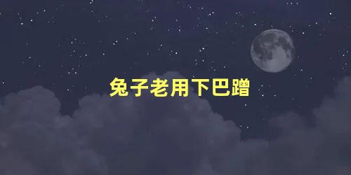 兔子老用下巴蹭